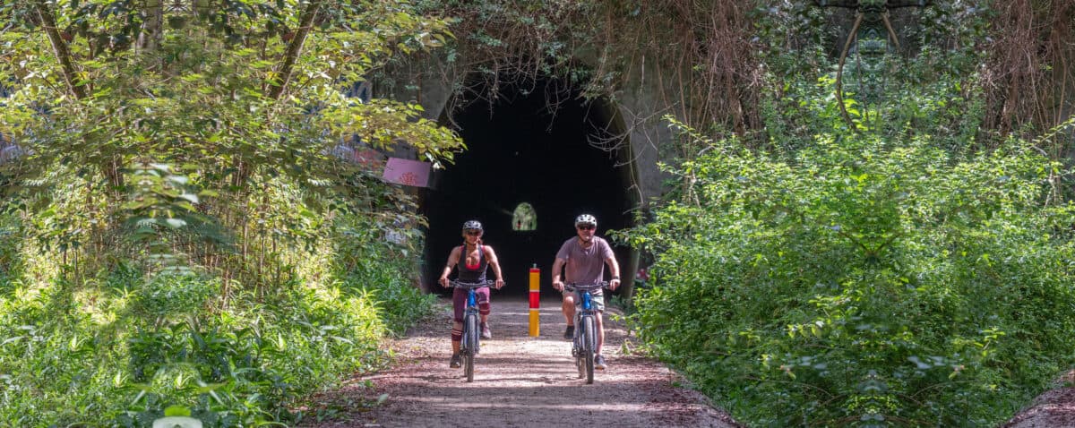 discover the glow worms with Better by Bike