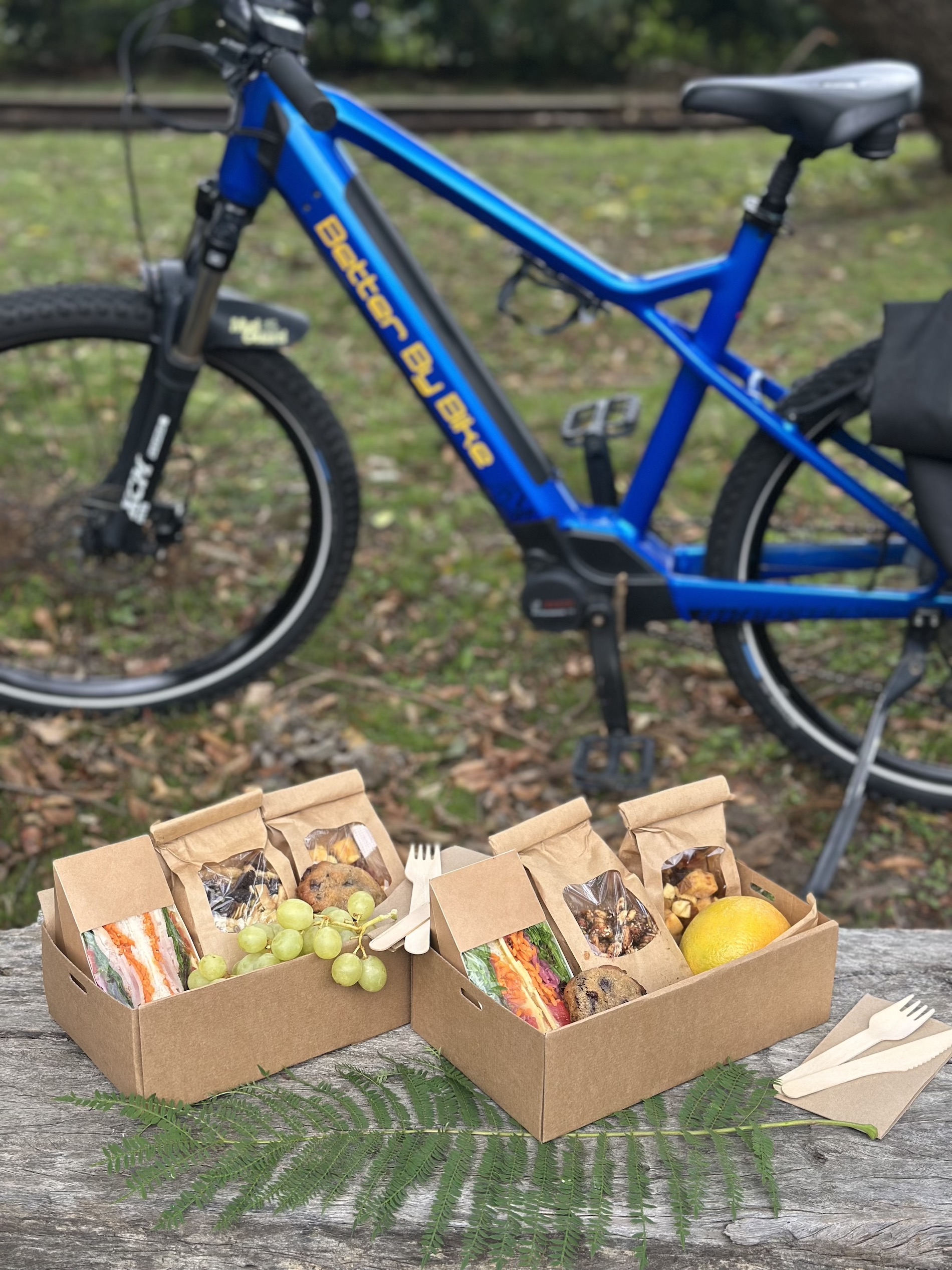 2 x picnic boxes with a blue bike in background
